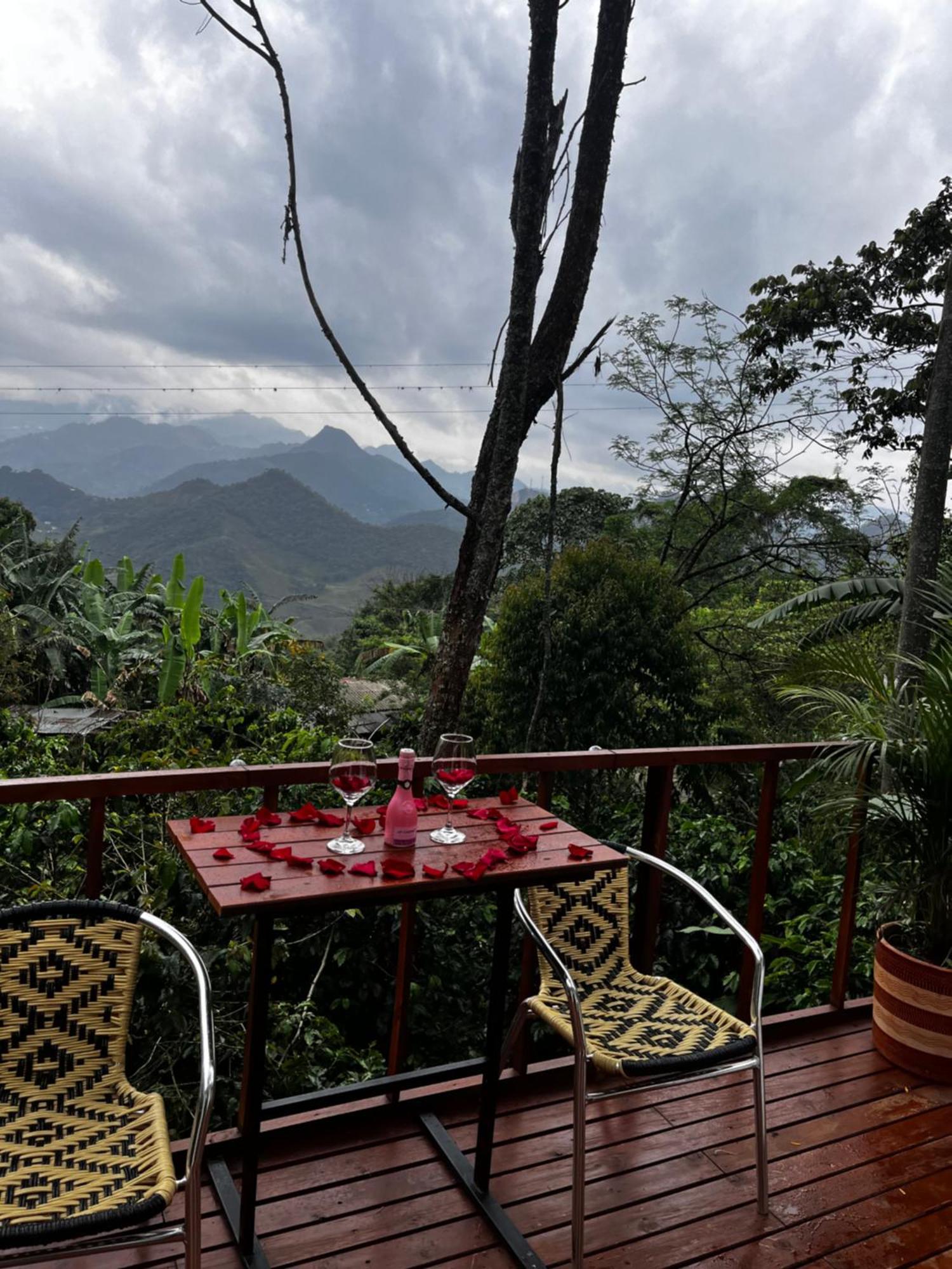 Cedros Tente de luxe