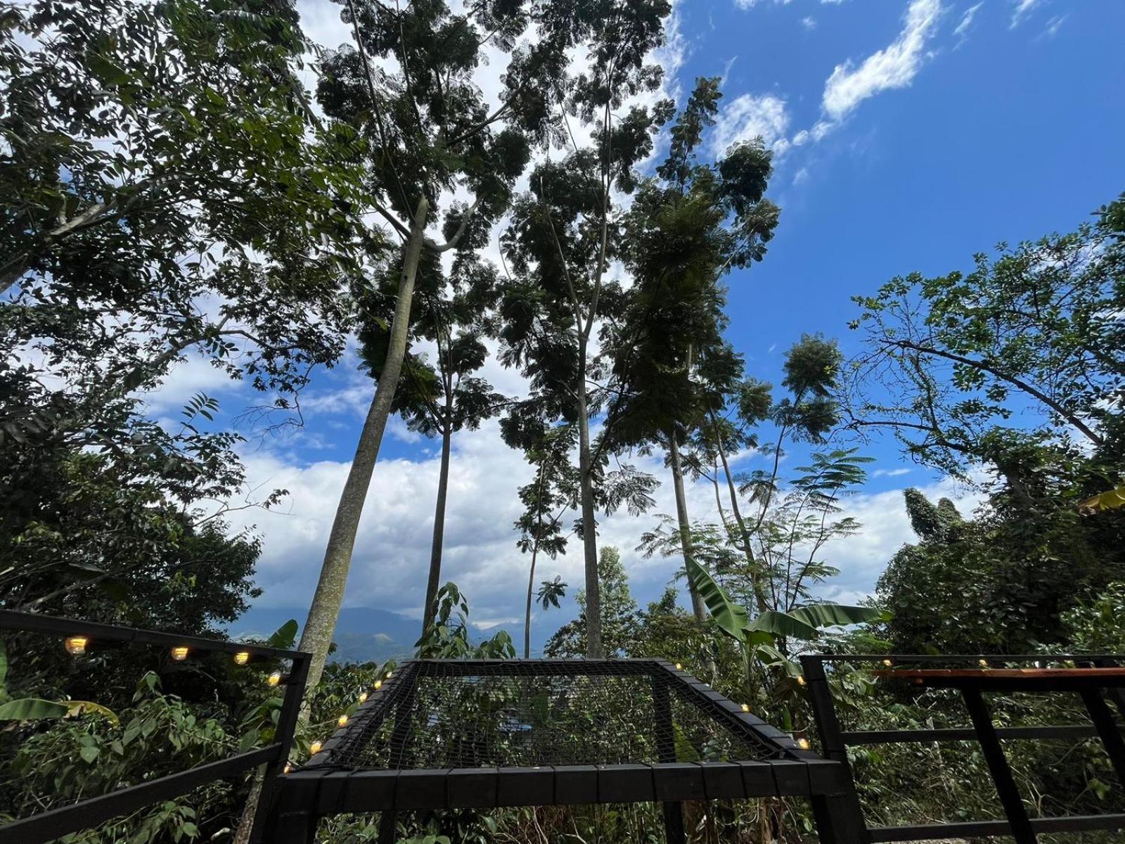 Cedros Tente de luxe